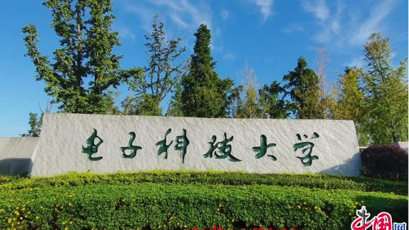 热继电器与过载继电器：使用场景差异解析