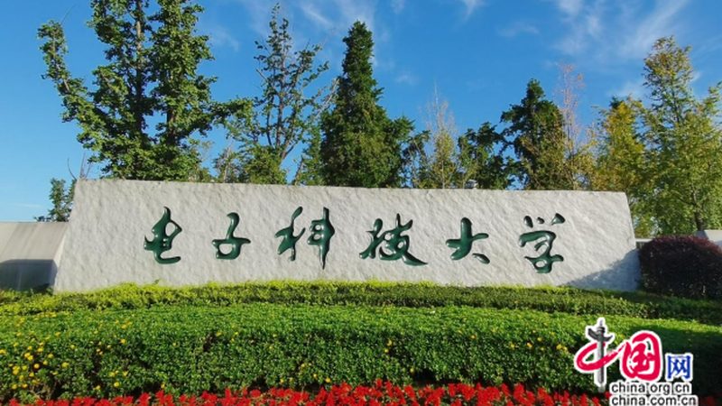 芯片代理加盟：揭秘其优缺点，助力行业选择
